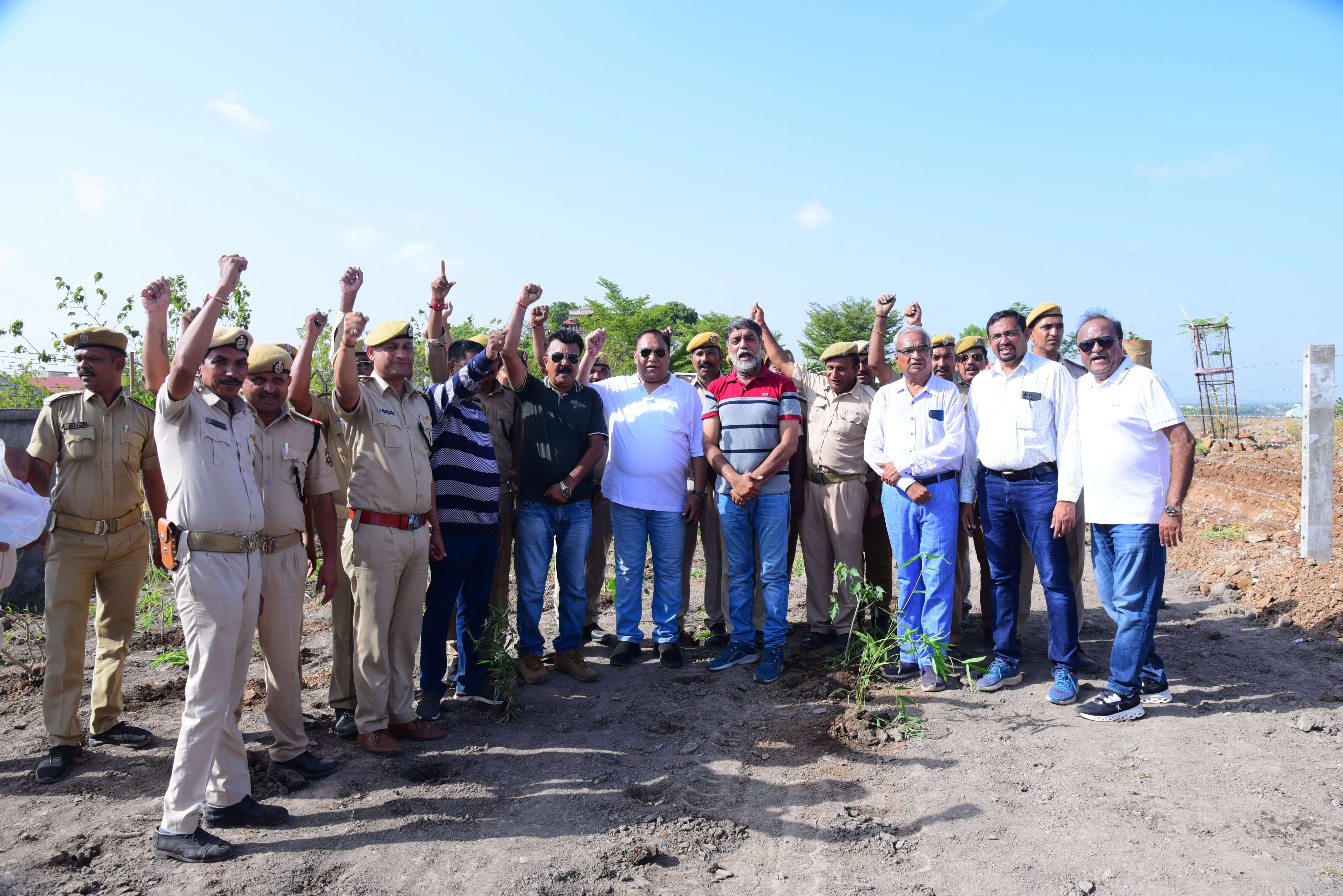 Tree Plantation
