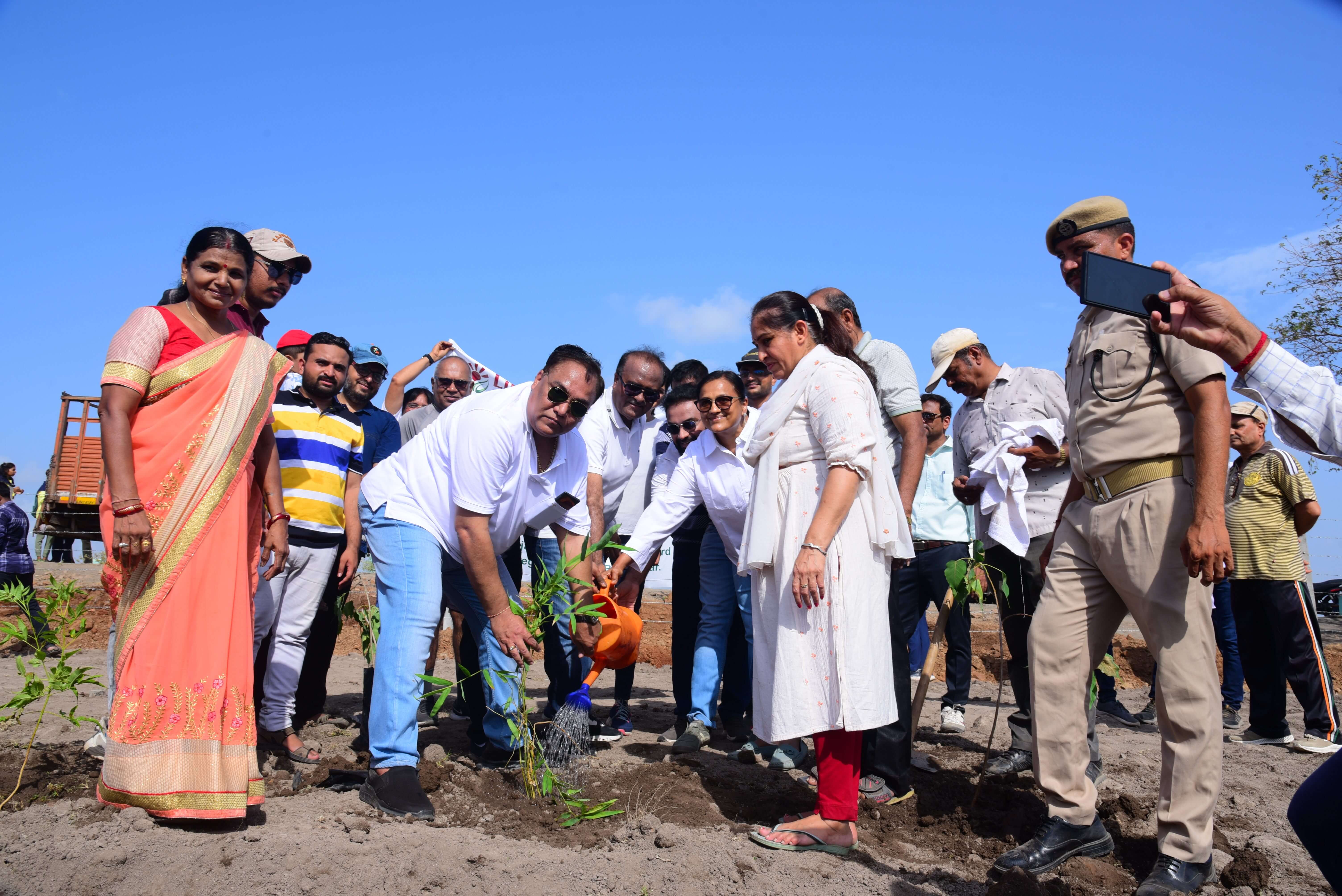 Tree Plantation