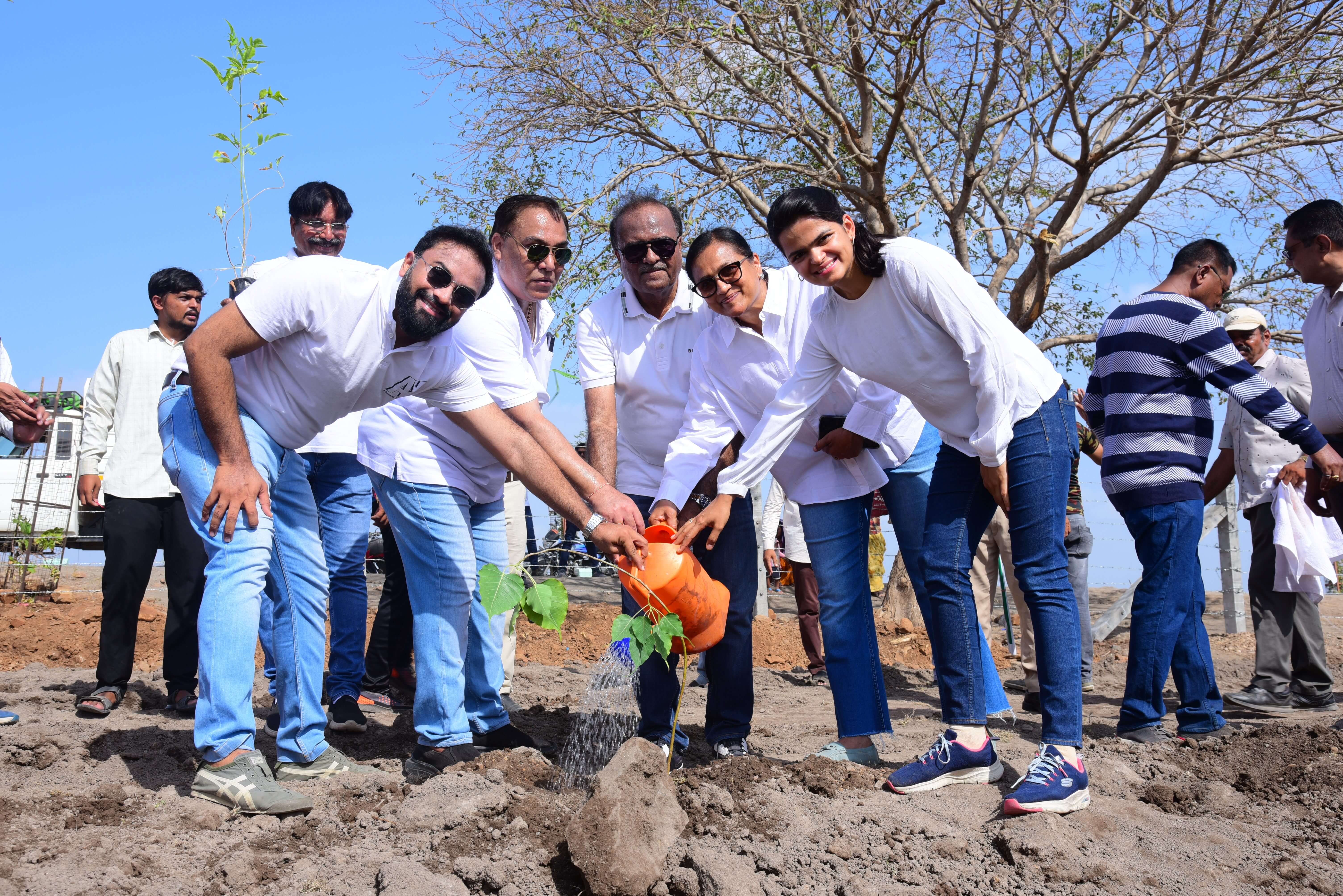 Tree Plantation