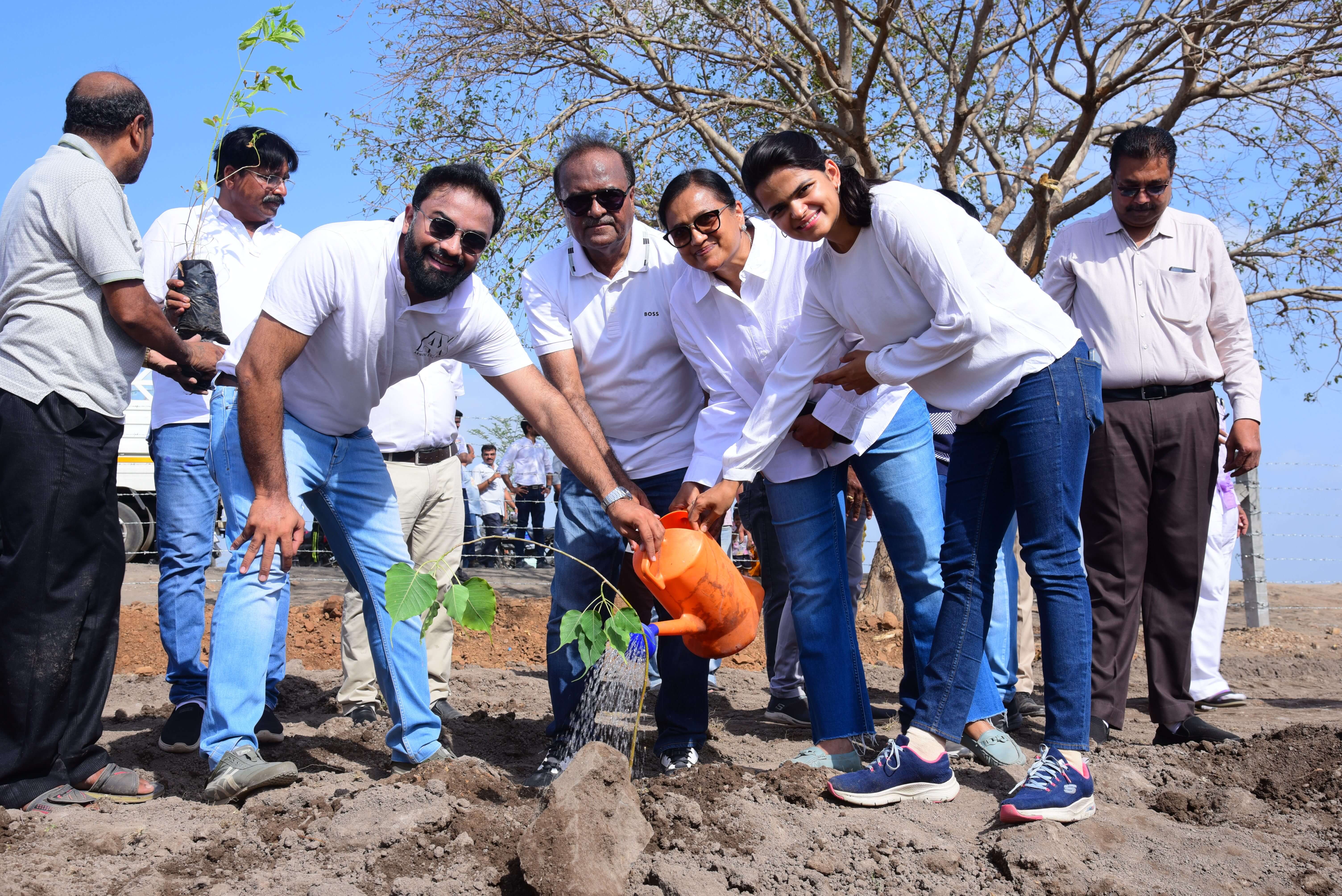 Tree Plantation