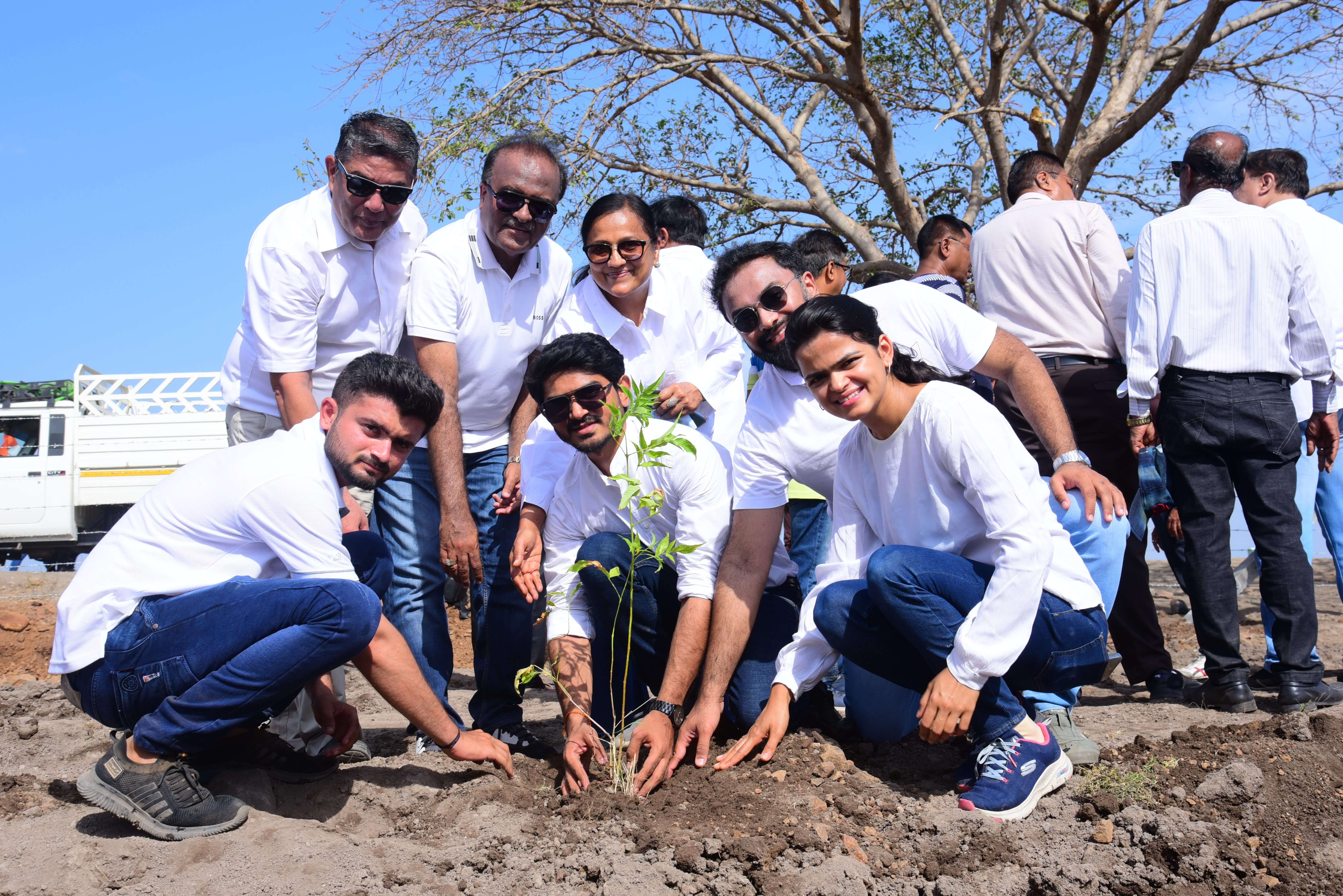 Tree Plantation