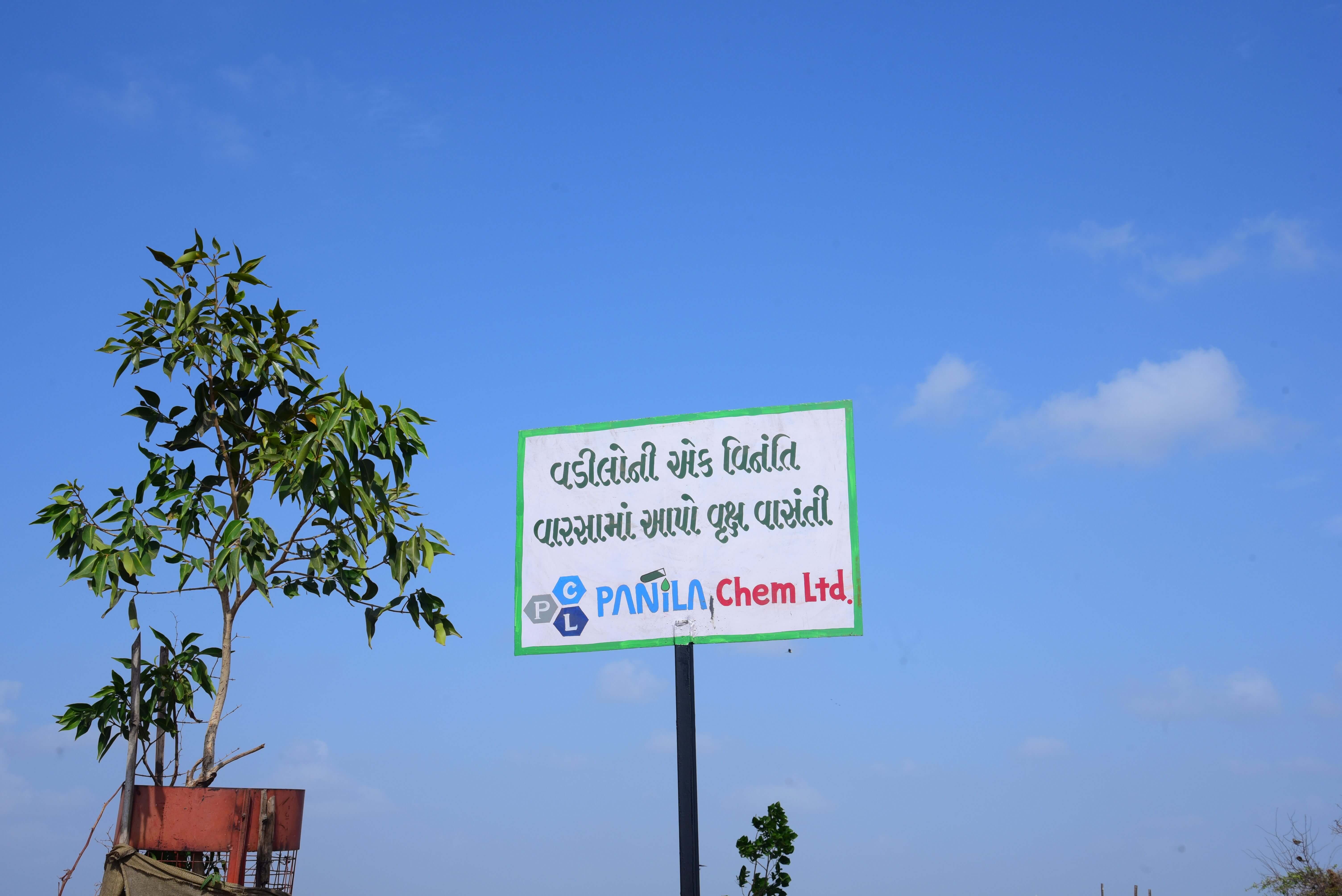 Tree Plantation