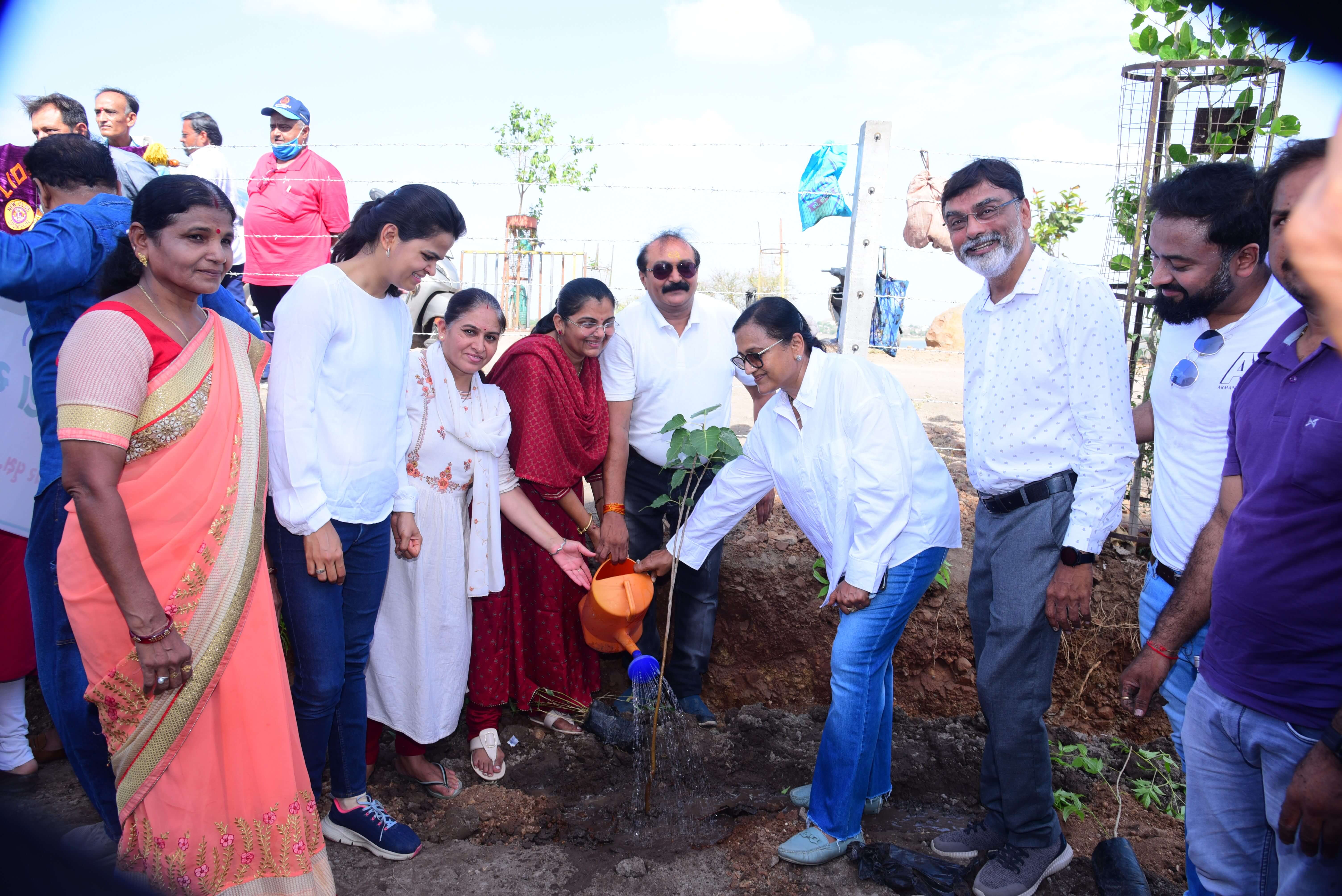 Tree Plantation