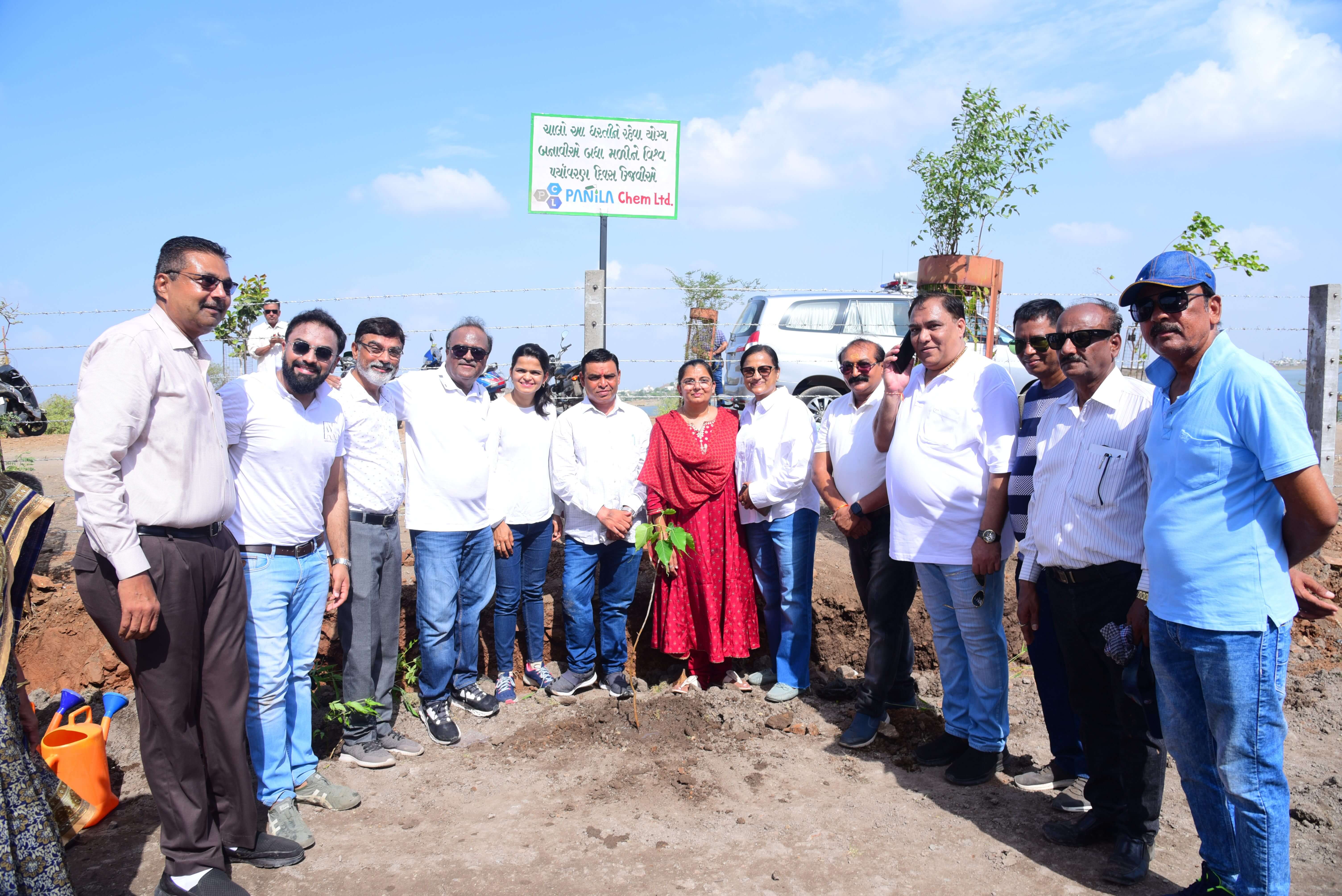 Tree Plantation