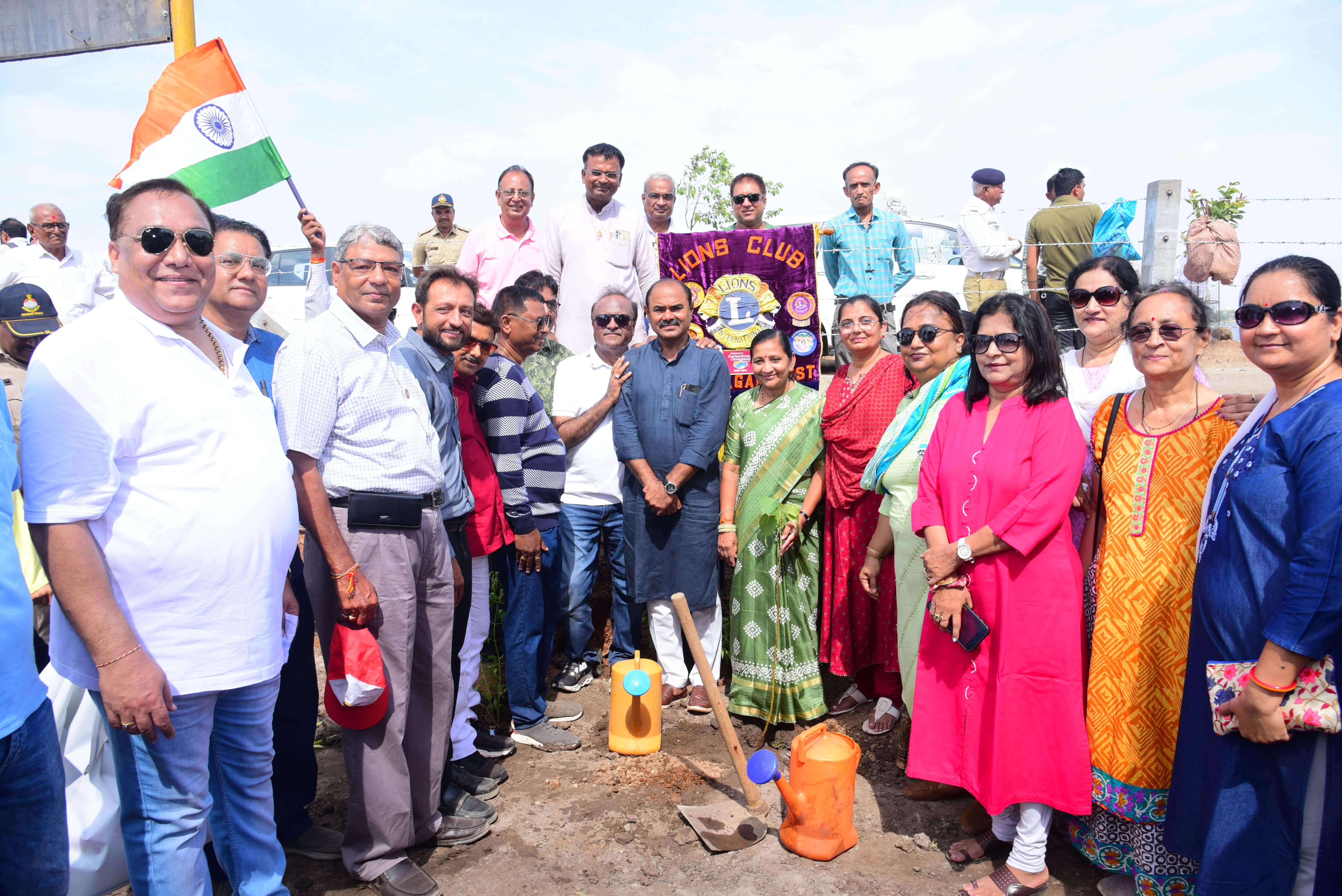 Tree Plantation