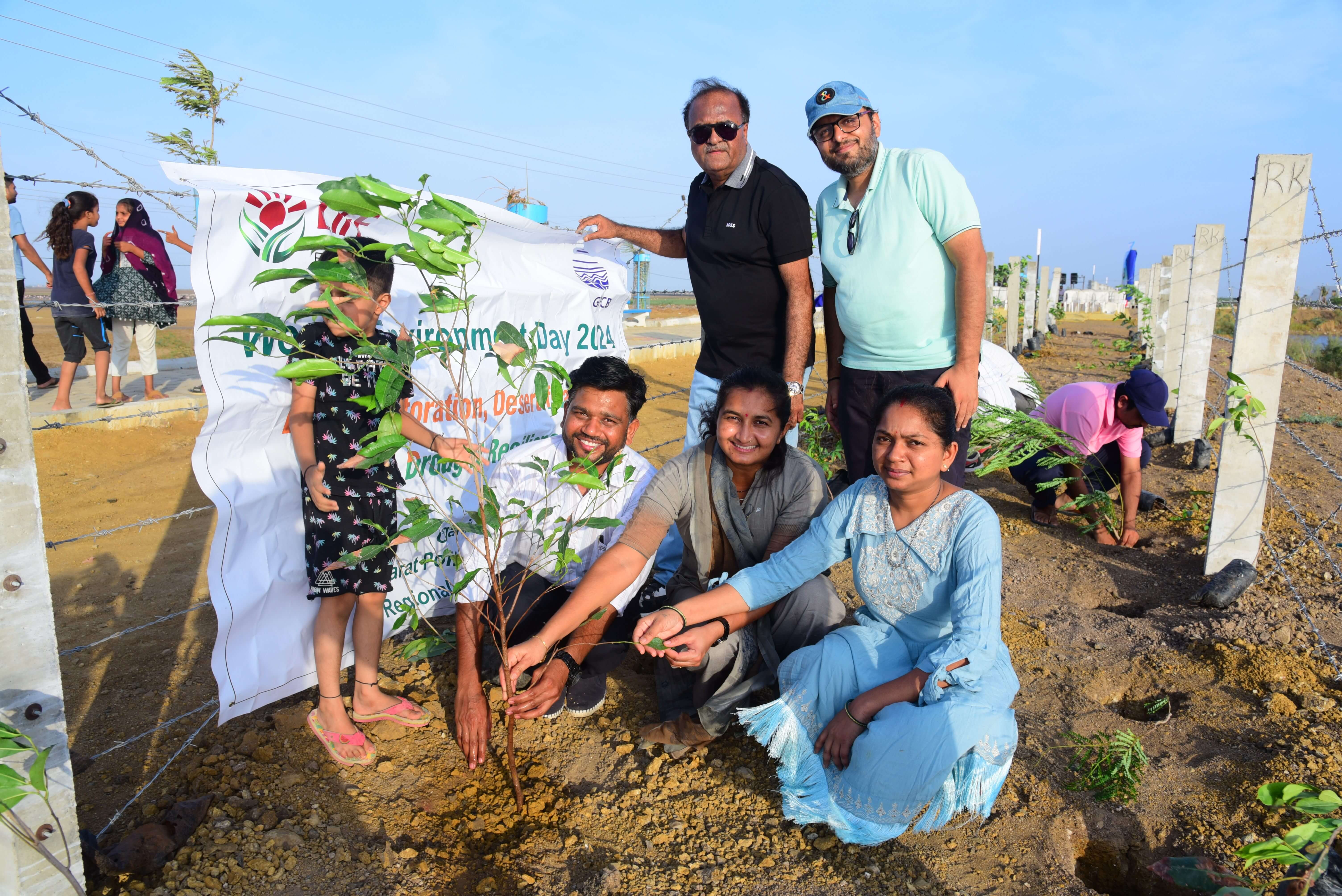 Tree Plantation