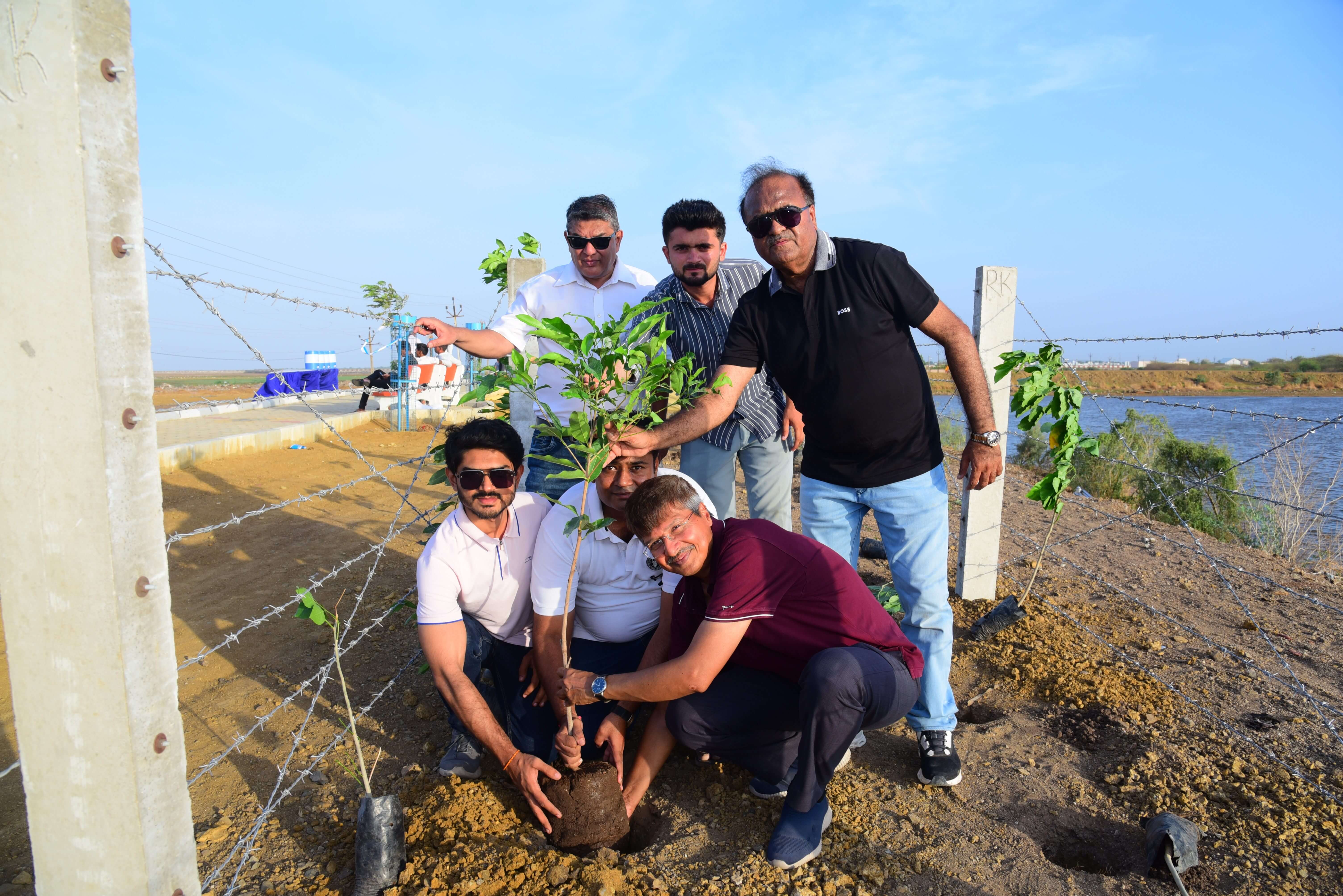 Tree Plantation