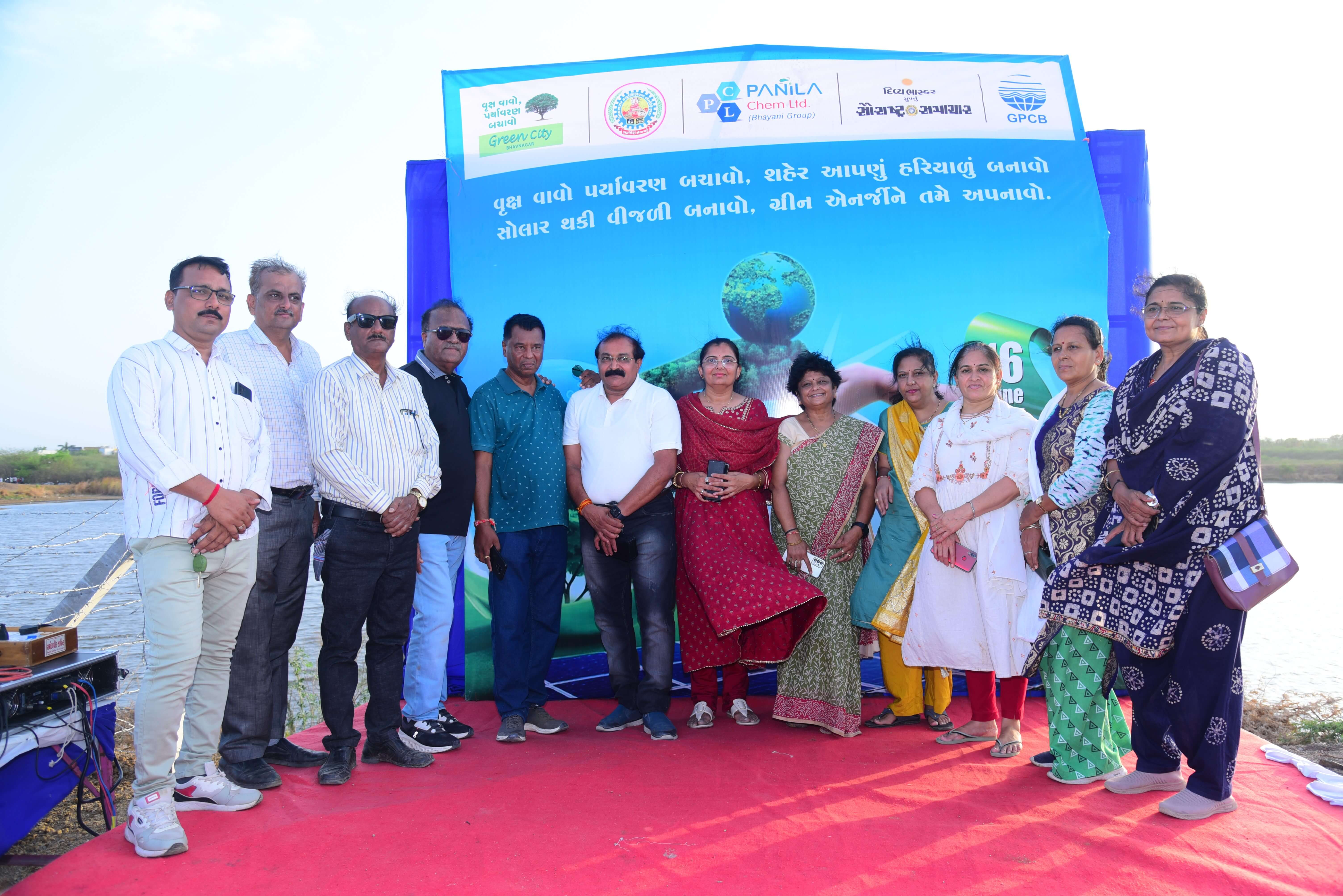 Tree Plantation