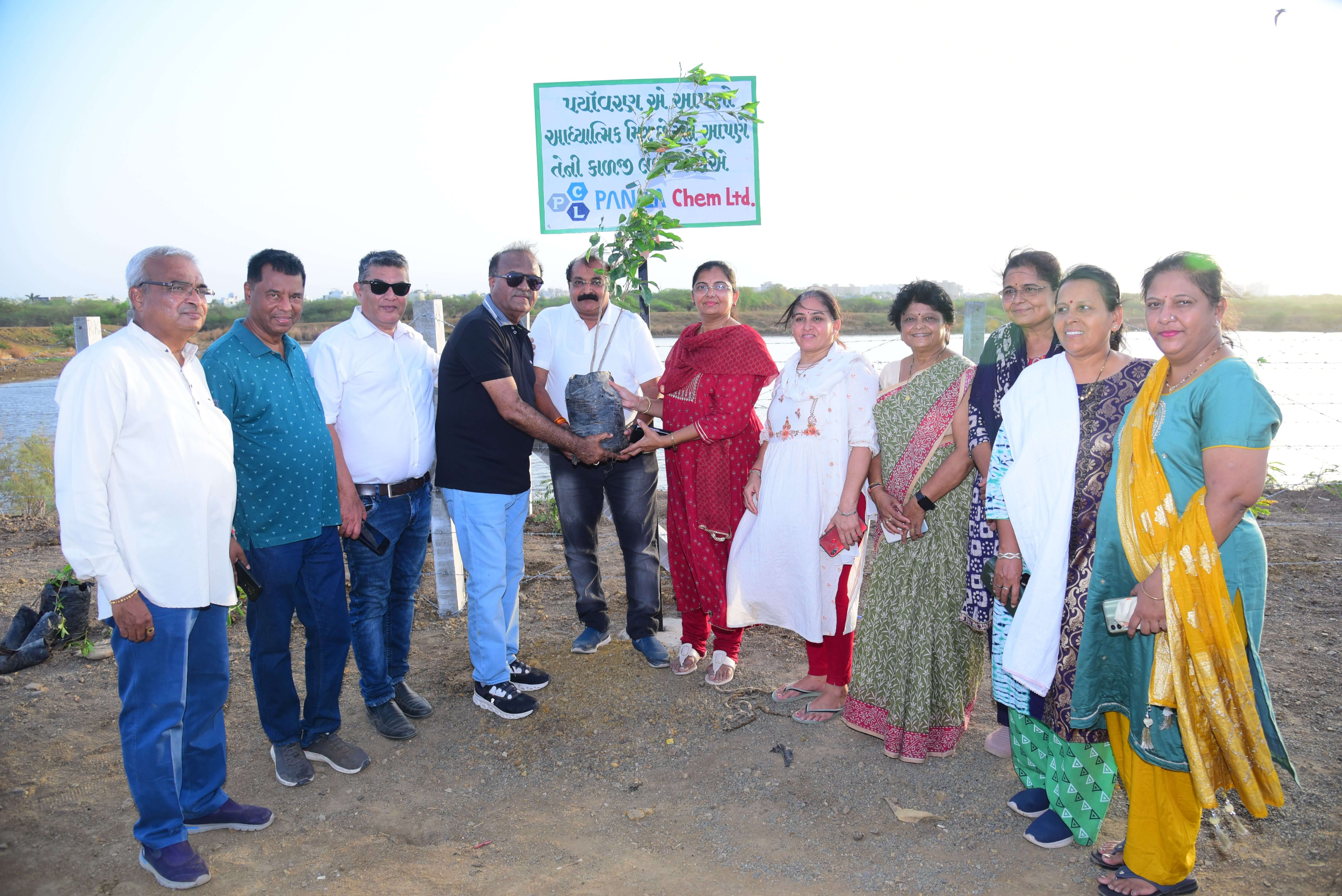 Tree Plantation